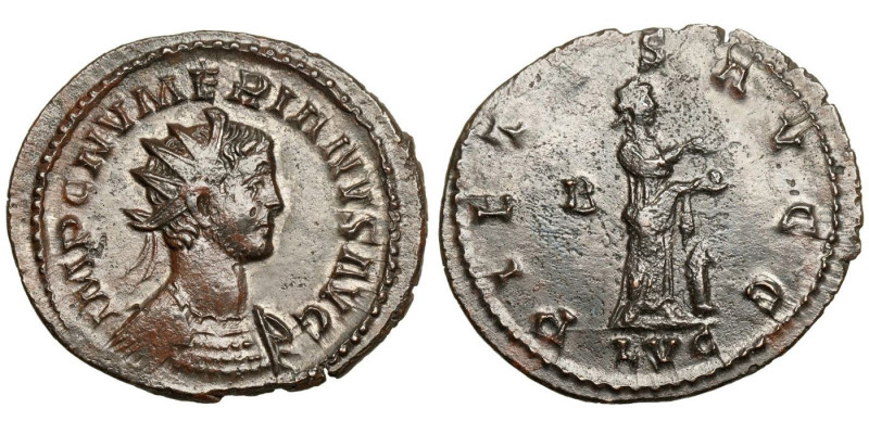 Numerian (283-284)
AE Antoninianus
2,91 g / 24 mm 
Lugdunum, 284
Radiate and...