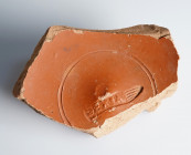 Roman Terra Sigillata Fragment

72 mm
~ 1st-3rd century
Pottery stamp in form of a foot print: SEXIA(?)


Austrian collection, acquired at the ...