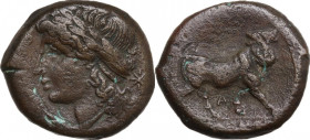 Greek Italy. Samnium, Southern Latium and Northern Campania, Cales. AE 20 mm. c. 265-240 BC. Obv. [CALENO]. Laureate head left; behind, star. Rev. Man...