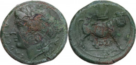 Greek Italy. Samnium, Southern Latium and Northern Campania, Cales. AE 21 mm, c. 265-240 BC. Obv. CALENO. Laureate head of Apollo left; behind, dolphi...