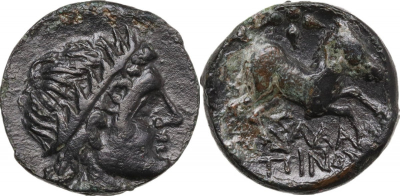 Greek Italy. Northern Apulia, Salapia. AE 19 mm. c. 3rd century BC. Obv. Laureat...