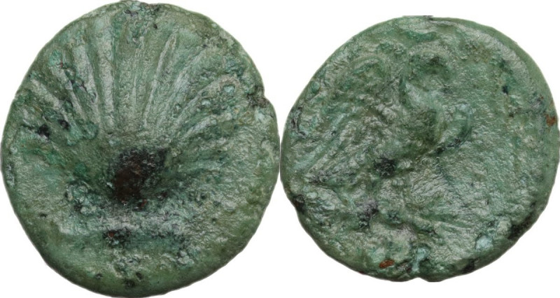 Greek Italy. Southern Apulia, Graxa. AE 15 mm, c. 250-225 BC. Obv. Cockle shell....