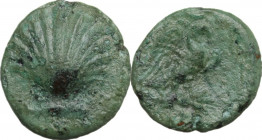 Greek Italy. Southern Apulia, Graxa. AE 15 mm, c. 250-225 BC. Obv. Cockle shell. Rev. Eagle right, wings open, on thunderbolt; in exergue, ΓPA. HN Ita...