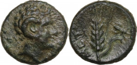 Greek Italy. Southern Lucania, Metapontum. AE 11 mm, c. 300-250 BC. Obv. Head of Apollo Karneios right. Rev. META. Grain ear with leaf to right; fly a...
