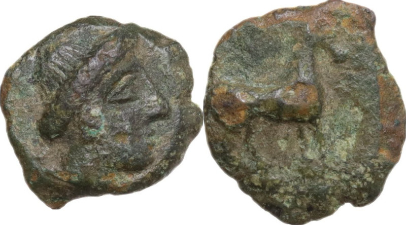 Sicily. Eryx. AE 10.5 mm, c. 4th century BC. Obv. Female head right. Rev. Horse ...