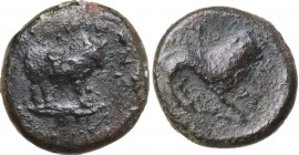 Sicily. Iaitas. AE 17 mm, c. 330-260 BC. Obv. ΙΑΙΤΙΝΩΝ. Bull standing right. Rev. Lion walking right. HGC 2 -; CNS I -; Buceti 1 (R5). AE. 4.57 g. 17....