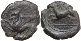 Sicily. Kainon. AE 21 mm, c. 360-340 BC. Obv. Griffin springing left; below, grasshopper left. Rev. Horse prancing left, trailing rein; above, star; i...