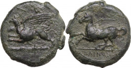 Sicily. Kainon. AE 23 mm, c. 360-340 BC. Obv. Griffin springing left above clouds. Rev. Horse prancing left, trailing reins; in exergue, KAINON. HGC 2...