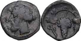 Sicily. Naxos. AR Litra, c. 461-430 BC. Obv. Head of Dionysos left, wearing ivy wreath; NAXI to left. Rev. Grape bunch on vine. HGC 2 972; SNG ANS 135...
