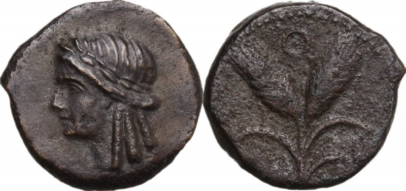 Sicily. Panormos. Under Roman Rule. AE 16.5 mm, c. 204-190 BC. Obv. Laureate hea...