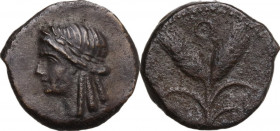 Sicily. Panormos. Under Roman Rule. AE 16.5 mm, c. 204-190 BC. Obv. Laureate head of Apollo left. Rev. Two grain ears; Θ above. HGC 2 1698 (uncertain ...