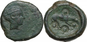Sicily. Segesta. AE Trias, c. 430-410 BC. Obv. Head of nymph Aigiste right, hair bound. Rev. Hound scenting right; four punched pellets (marks of valu...