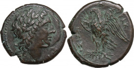Sicily. Syracuse. Hiketas II (287-278 BC). AE 24.5 mm. c. 287-278 BC. Obv. [ΔIOΣ EΛΛANIOY]. Laureate head of Apollo right. Rev. ΣYPAKOΣIΩN. Eagle stan...