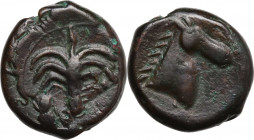 Punic Sardinia. AE 17 mm., c. 350/40-320/300 BC. Obv. Palm. Rev. Horse 's head. Lulliri pl. 1, 1; SNG Cop. 102/6. AE. 4.67 g. 17.00 mm. VF.