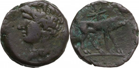 Punic Sardinia. AE 20 mm, c. 241-238/215 BC. Uncertain mint. Obv. Wreathed head of Kore left, wearing triple-pendant earring. Rev. Bull standing right...