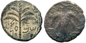 Judaea, Bar Kokhba Revolt. Æ Medium Bronze (9.84 g), 132-135 CE. EF