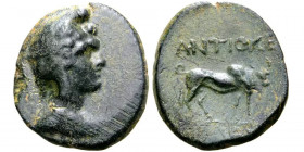 PISIDIA, Antioch. 1st century BC.  Æ.