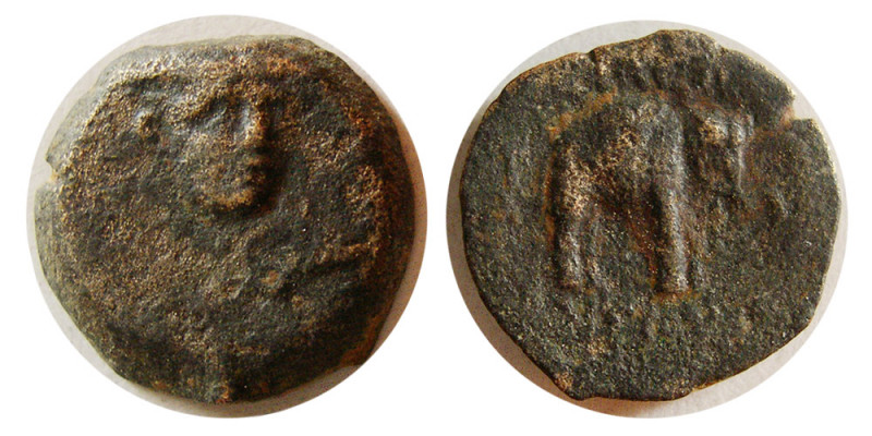 SELEUKID KINGS, Antiochus III, 222-187 BC. Æ (2.12 gm; 14 mm). Seleukeia on the ...