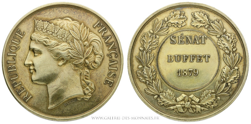 FRANCE, Troisième République (1871-1940), Médaille d'identité au Sénat 1879, (Ve...