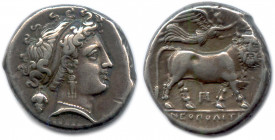 CAMPANIE - NAPLES 325-241
Tête de la nymphe Parthénope à droite, les cheveux retenus par un 
bandeau. Elle est parée de boucles d'oreilles et d'un col...