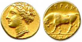 SICILE - SYRACUSE Règne d'Agathoclès 317-289
Tête de Perséphone à gauche couronnée de roseaux. Elle est parée de pendants d'oreilles et d'un collier....