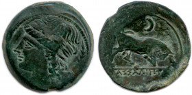MASSALIA 215-140
Tête laurée d'Apollon à gauche. Palme derrière la nuque.
R/. Taureau chargeant à droite. 
À l'exergue, MAΣΣΑΛIHTΩN. Au-dessus, croiss...