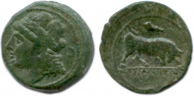 MASSALIA 215-140
Tête laurée d'Apollon à gauche. Derrière la nuque, 
une couronne de laurier. R/. Taureau chargeant à droite. 
À l'exergue, MAΣΣΑΛIHTΩ...