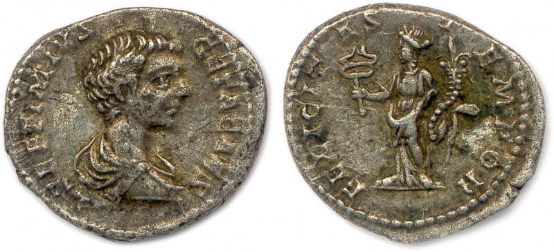 GÉTA Publius Septimius Geta 5 février - 26 décembre 211
P SEPTIMIVS GETA CAES. S...