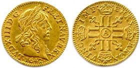 LOUIS XIII 1610-1643
LVD XIII… Sa tête laurée à droite. 
R/. CHRS… Croix formée de huit L couronnés et 
cantonnée de quatre lis.
♦ Dy 1299 ; Gad 57 ; ...