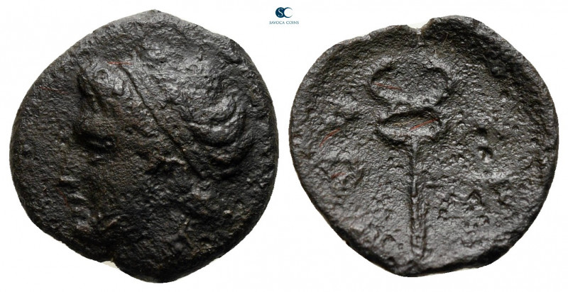 Islands of Thessaly. Skiathos circa 400-200 BC. 
Chalkous Æ

12 mm, 1,56 g
...