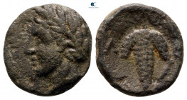 Lokris. Locri Opuntii circa 330-300 BC. Bronze Æ