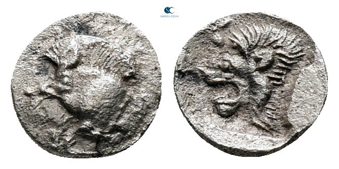 Mysia. Kyzikos circa 525-475 BC. 
Tetartemorion AR

7 mm, 0,20 g



very ...