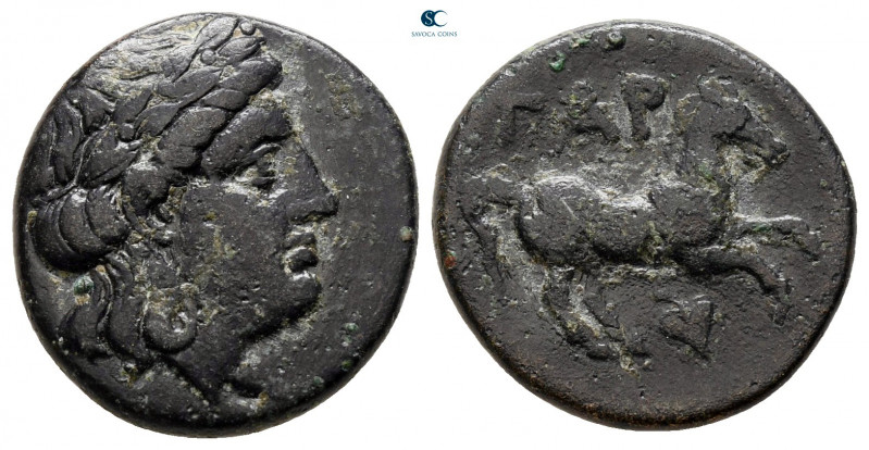 Troas. Gargara circa 400-300 BC. 
Bronze Æ

17 mm, 3,76 g



very fine