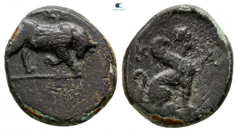 Caria. Kaunos circa 350-300 BC. 
Bronze Æ

12 mm, 1,64 g



very fine