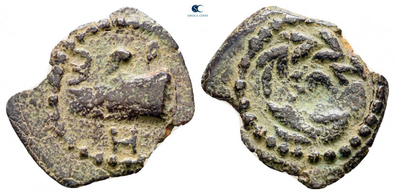 Judaea. Jerusalem. Herodians. Herod II Archelaos 4 BC-AD 6. 
Half Prutah Æ

1...