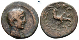 Mysia. Kyzikos. Augustus 27 BC-AD 14. Bronze Æ