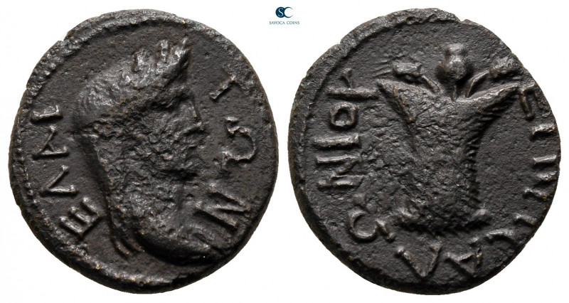 Aiolis. Elaia. Pseudo-autonomous issue AD 192-217. 
Bronze Æ

15 mm, 2,63 g
...