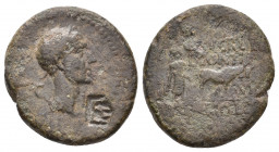 MYSIA, Lampsacus. Julius Caesar, Circa 45 BC. AE. 6.25 g. 21.80 mm.
