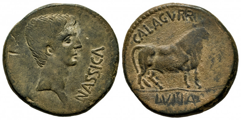 Calagurris. Augustus period. Unit. 27 BC - 14 AD. Calahorra (La Rioja). (Abh-404...
