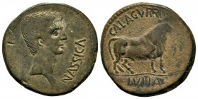 Calagurris. Augustus period. Unit. 27 BC - 14 AD. Calahorra (La Rioja). (Abh-404). (Acip-1793). Anv.: NASSICA. Bare head of Augustus right. Rev.: Bull...