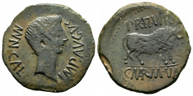 Calagurris. Augustus period. Unit. 27 BC - 14 AD. Calahorra (La Rioja). (Abh-415). (Acip-3121). Anv.: MVN. CALAG. IMP. AVGVSTVS. Bare head of Augustus...