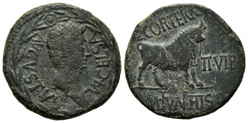 Kelse-Celsa. Augustus period. Unit. 27 BC - 14 AD. Velilla de Ebro (Zaragoza). (...