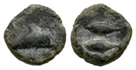 Gades-Gadir. 1/8 calco. 300-200 BC. Cadiz. (Abh-1306). Anv.: Dolphin right. Rev.: Two tunny. Ae. 0,77 g. Scarce. VF/Choice VF. Est...100,00. 

Spani...
