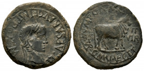 Turiaso. Augustus period. Unit. 27 BC - 14 AD. Tarazona (Zaragoza). (Abh-2449). Anv.: TI. CAESAR. AVG F. IMP. PONT. M. around laureate head of Tiberiu...