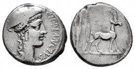 Plancius. Cn. Plancius. Denarius. 55 BC. Rome. (Ffc-991). (Craw-432/1). (Cal-1122). Anv.: CN. PLANCIVS. (AED. CVR. S.C.), head of Diana Planciana righ...