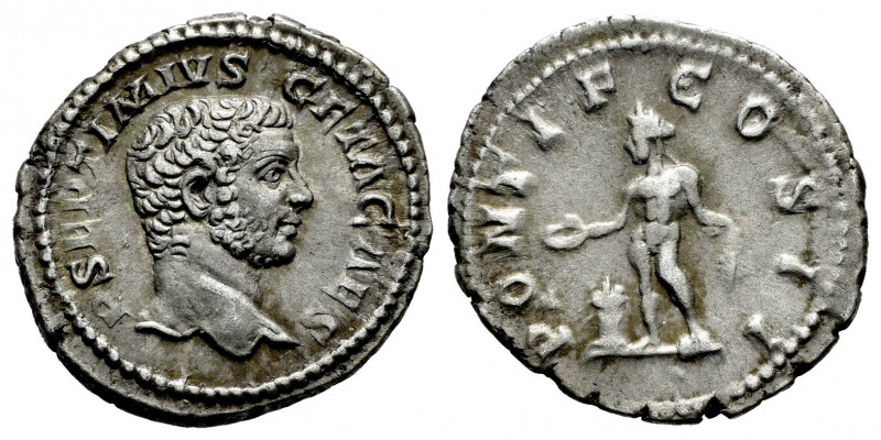 Geta. Denarius. 209 AD. Rome. (Ric-IV 59b). (Bmcre-579). (Rsc-114). Anv.: P SEPT...