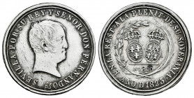 Ferdinand VII (1808-1833). "Restitución del absolutismo" medal. 1823. Sevilla. (Vq-14243). Ag. 7,31 g. Cleaned. Choice VF. Est...60,00. 

Spanish De...