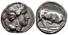 Lucania. Thurium. Distater. 350-300 BC. (Sng Ans-972). (HN Italy-1807). Anv.: Head of Athena right, wearing crested Attic helmet decorated with Scylla...