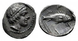 Macedon. Amphipolis. Obol. 410-357 BC. (Sng Cop-41). (Sng Ans-83-84). Anv.: Head of Apollo right, wearing taenia. Rev.: Fish to right, AMΦI around; al...