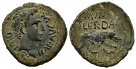 Ilerda. Augustus period. Unit. 27 BC - 14 AD. Lleida (Cataluña). (Abh-1487). Anv.: IMP. AVGVST. DIVI. F. Head of Augustus right. Rev.: Wolf right, MVN...